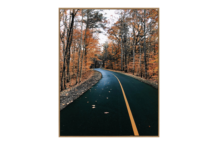 Schilderij weg in de herfst
